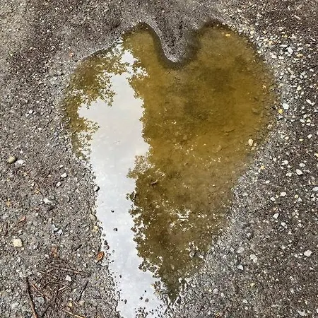 Interieur Classe 4 Etoiles - Balneo Et Sauna Privatif Nyaraló