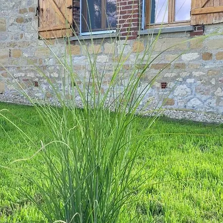 Interieur Classe 4 Etoiles - Balneo Et Sauna Privatif Vakantiehuis