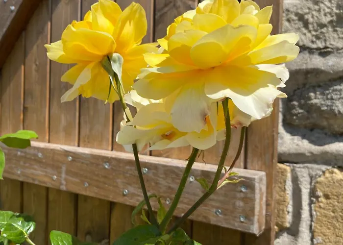 Interieur Classe 4 Etoiles - Balneo Et Sauna Privatif Prázdninový dům Tannay (Ardennes)